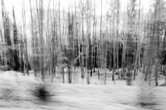 01_20101114_3154-Vage_Gegebenheiten_I-web
