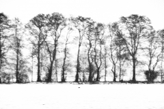 03_20100131_0620-Vage_Gegebenheiten_I-web