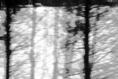 04_20100131_0515-Vage_Gegebenheiten_I-web