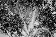 06_20091006_6365-Vage_Gegebenheiten_I-web