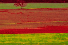 13_20131227_5734-Vage_Gegebenheiten_I-web
