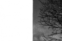 15_20200115_00143-Vage_Gegebenheiten_I-web