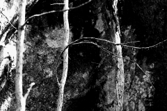 28_20190821_01674-Vage_Gegebenheiten_I-web