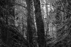 29_20120106_4498-Vage_Gegebenheiten_I-web